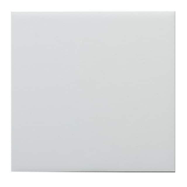 5700W1 STATICIDE PREM ESD PAINT WHT GAL