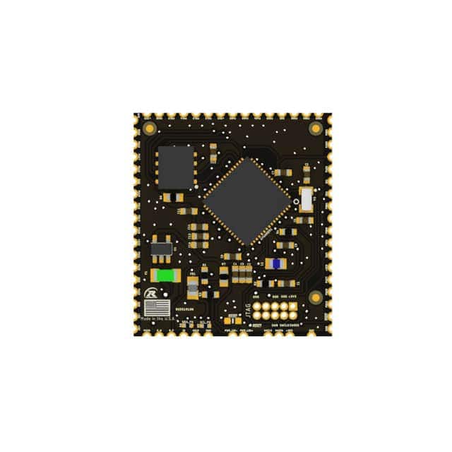 RSD51M100 RSD51M100 ATSAMD51J19 MODULE