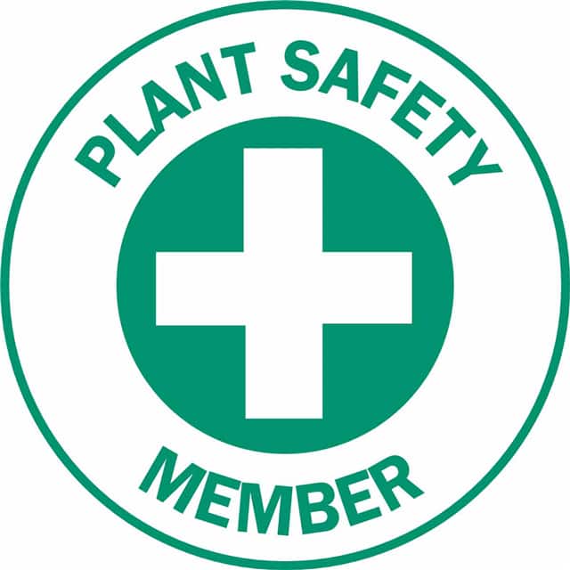 49571 HARD HAT EMBLEM