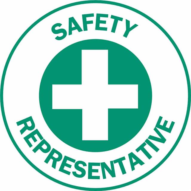 49573 HARD HAT EMBLEM