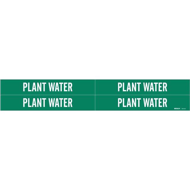 7213-4 B946 7213-4 WHT/GRN STY-4 PLANT