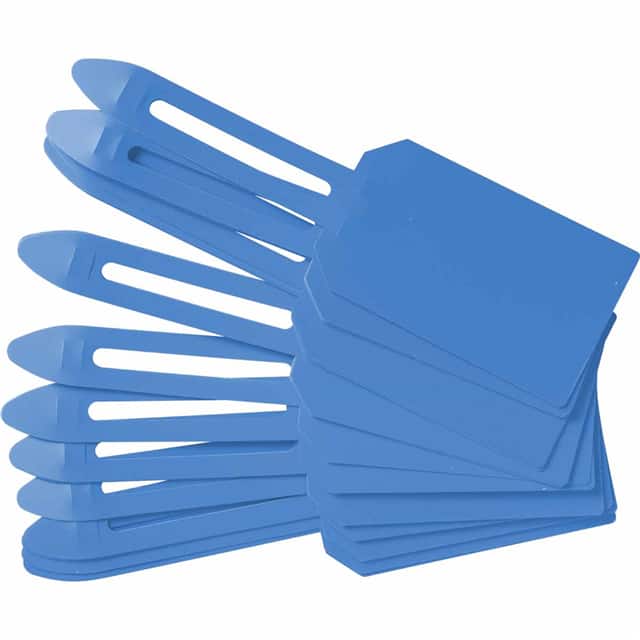 30682 BLUE LOCK ON TAGS - BLANK