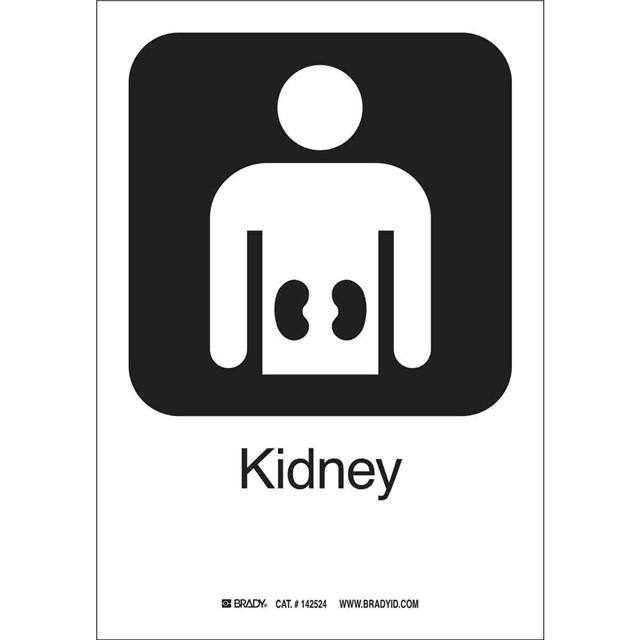 142524 B302 KIDNEY 10"HX7"W PICTO W/TEX