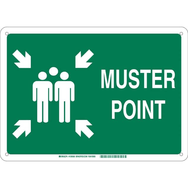 139568 B120 10X14 WHT/GN MUSTER POINT S