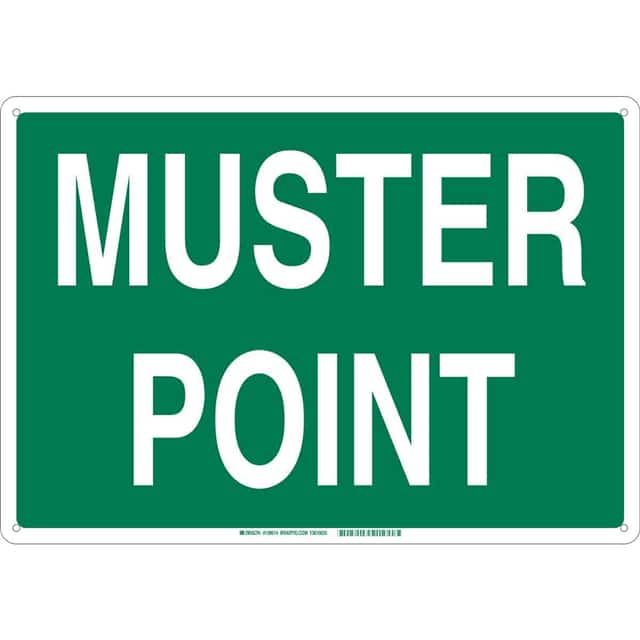 139617 B401 14X20 WHT/GN MUSTER POINT S