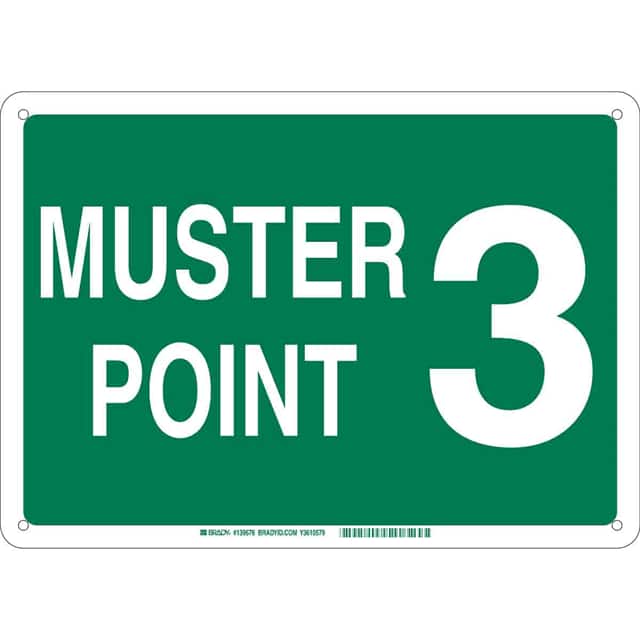 139679 B401 10X14 WHT/GN MUSTER POINT 3