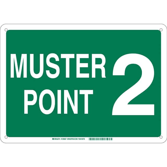 139673 B555 10X14 WHT/GN MUSTER POINT 2