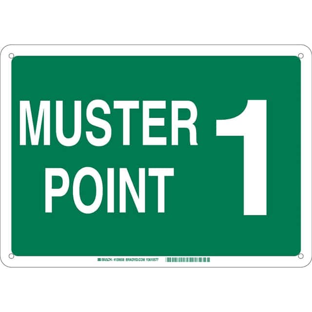 139664 B555 10X14 WHT/GN MUSTER POINT 1