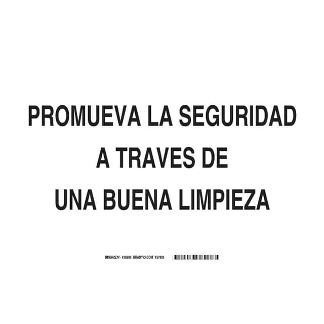 38906 SPANISH/PROMO SFTY THRU GOOD