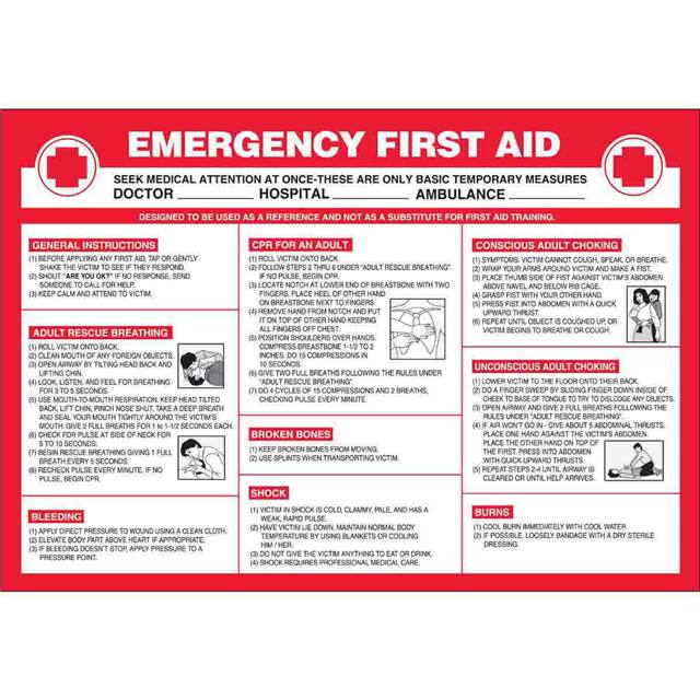 105625 WALLCHART-PLAS-29WX20-EMERGNCY F