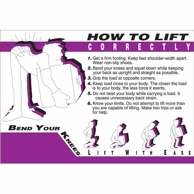 105619 WALLCHART-PLAS-29WX20-HOW TO LIF