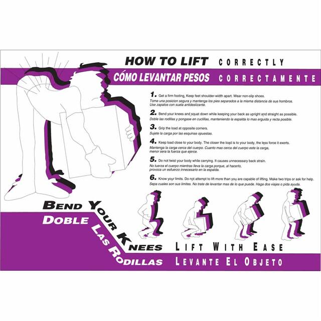 105620 WALLCHART-PLAS-29WX20-HOW TO LIF