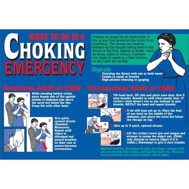 105609 WALLCHART-PLAS-29WX20-CHOKING EM