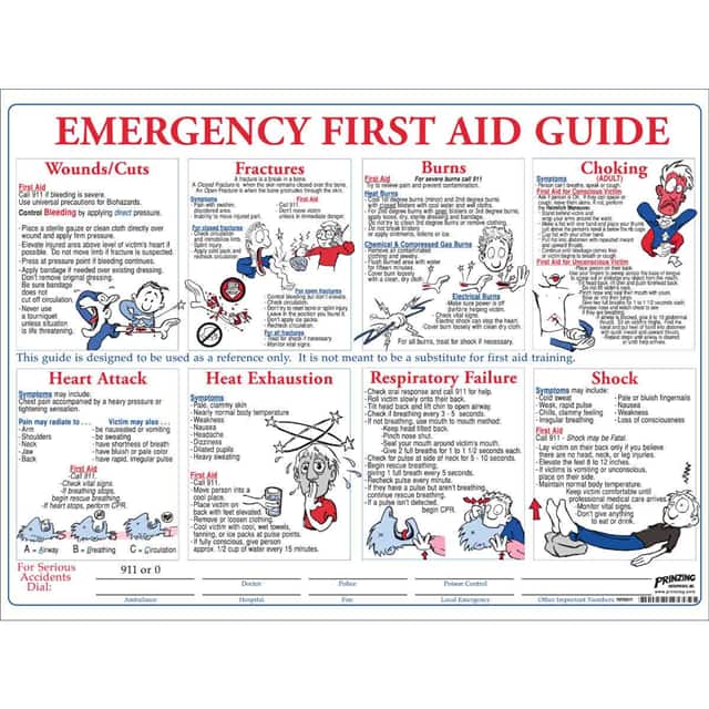 PS128E PRINZING FIRST AID TRAINING POST