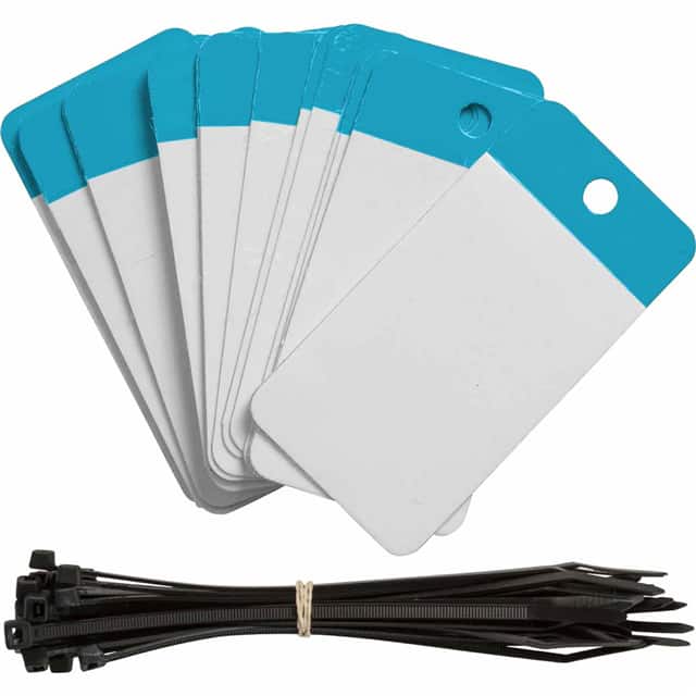 102001 POLY SELF LAM TAG 2X4 BLANK BLU