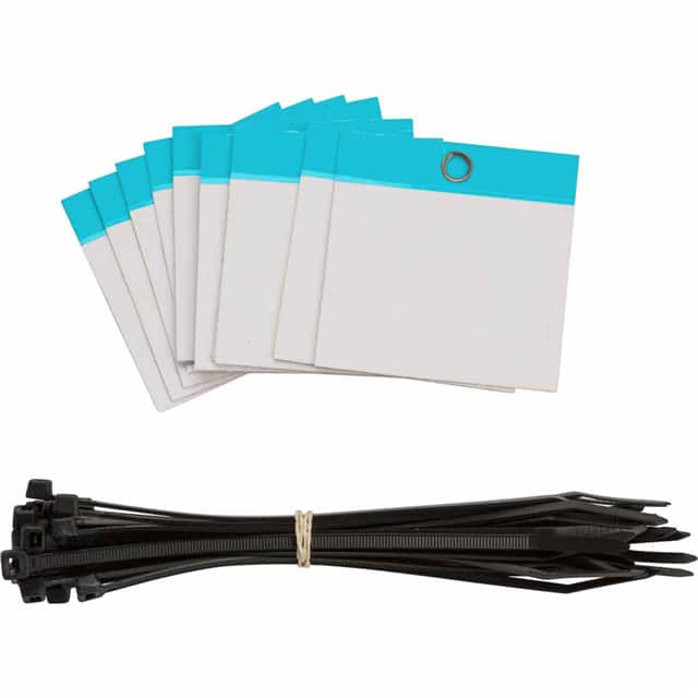 102007 POLY SELF LAM TAG 3X3 BLANK BLU