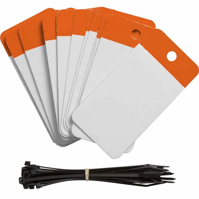 102014 POLY SELF LAM TAG 3.25X5 BLANK O