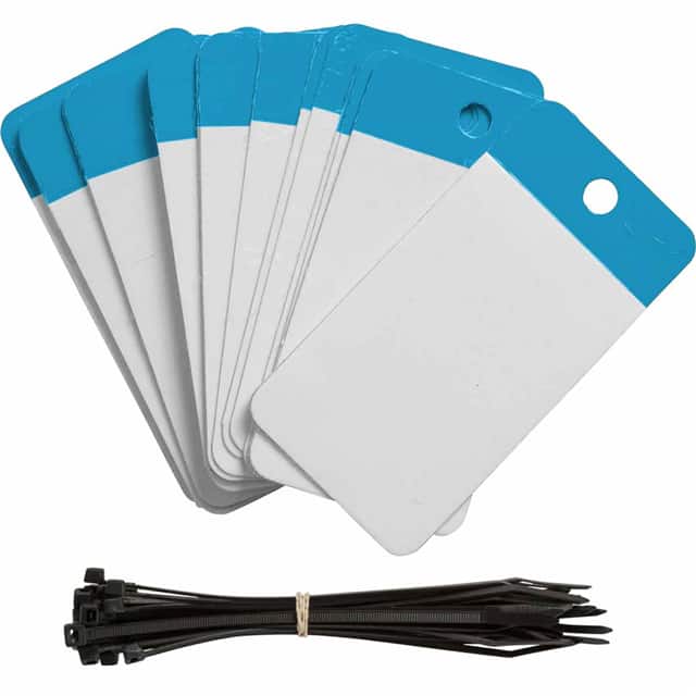 102013 POLY SELF LAM TAG 3.25X5 BLANK B