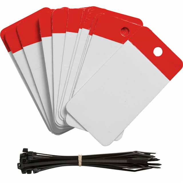 102011 POLY SELF LAM TAG 3.25X5 BLANK R