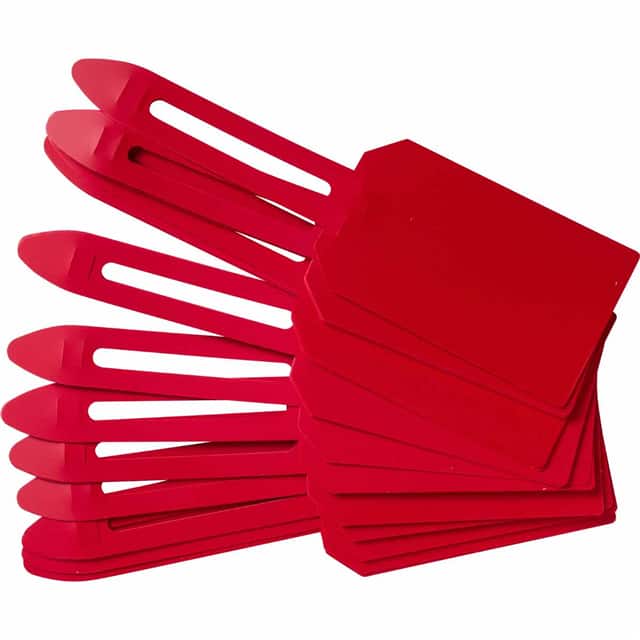 30681 RED LOCK ON TAGS - BLANK