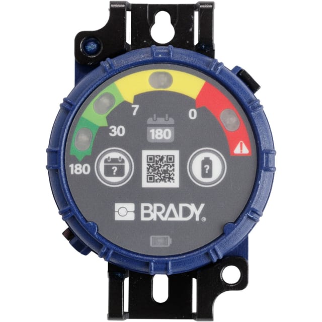 150743 BRADY INSPECTION TIMER 180 DAY 1