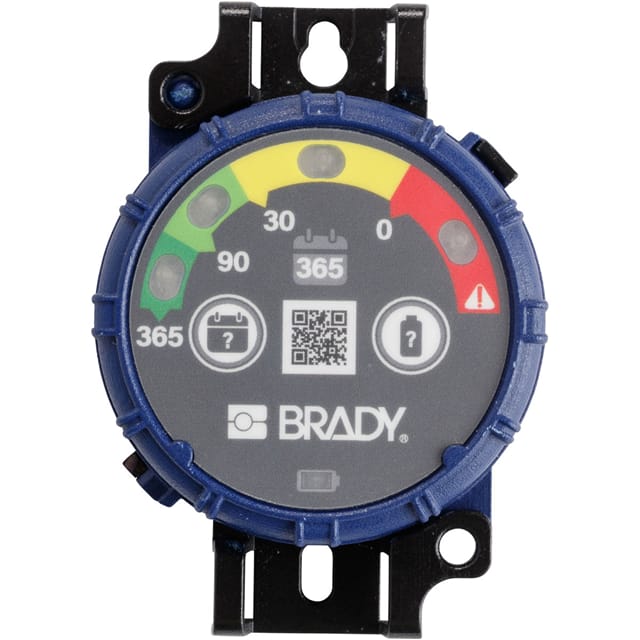 150744 BRADY INSPECTION TIMER 365 DAY 1