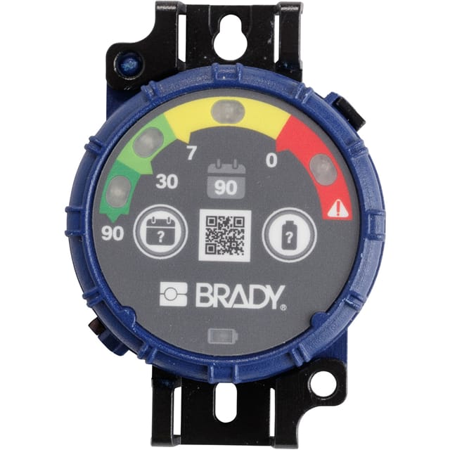 150742 BRADY INSPECTION TIMER 90 DAY 10