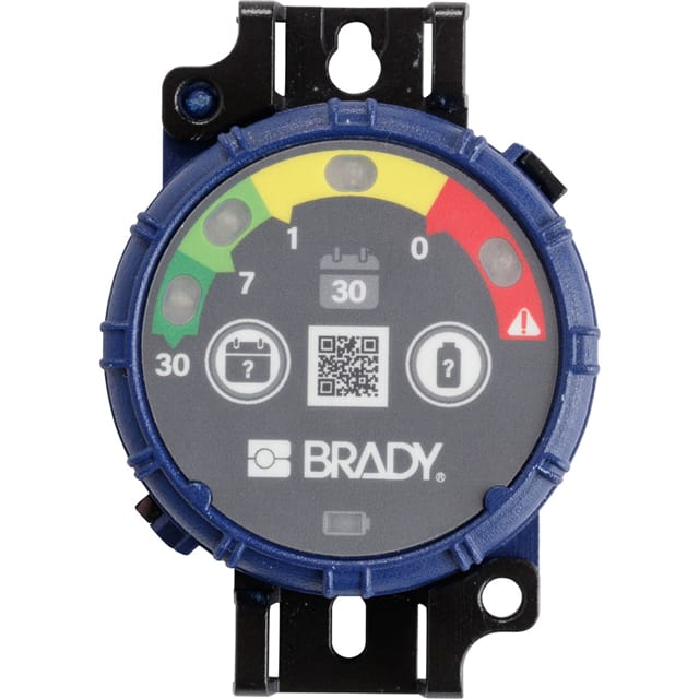 150741 BRADY INSPECTION TIMER 30 DAY 10