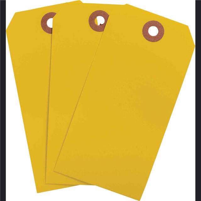 102051 BLNK TAG FLR ORG 4.25"X2.125" 10