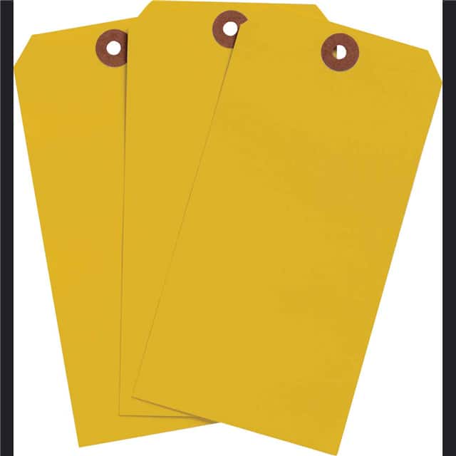 102053 BLNK TAG FLR ORG 5.25"X2.625" 10