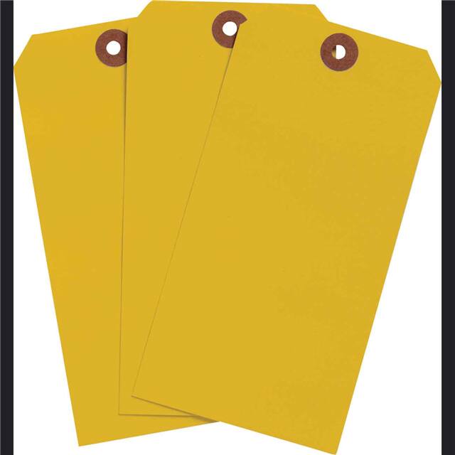 102054 BLNK TAG FLR ORG 5.75"X2.875" 10