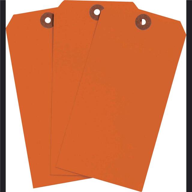 102087 BLNK TAG FLR RED 6.25"X3.125" 10