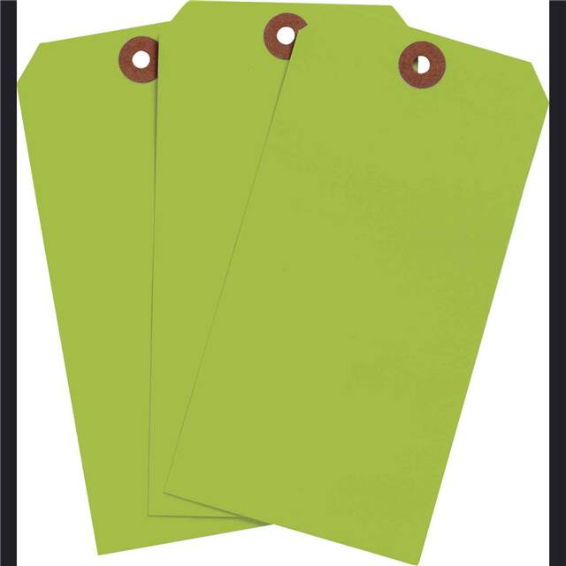 102071 BLNK TAG FLR GRN 6.25"X3.125" 10