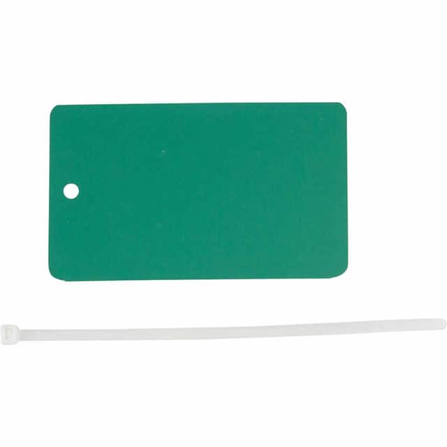 56939 METAL WRITE-ON TAG,GREEN W/TIES