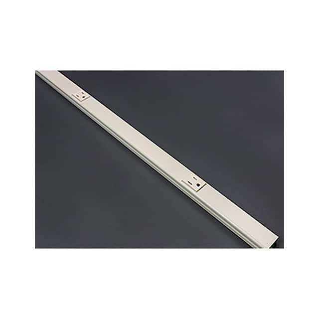 V20GBA12 PLUGMOLD, 125V, 15A, 48'L, 8 OUT
