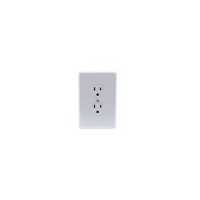 BB2KDECOYOUTLET Decoy Outlet with 2K Hidden Came