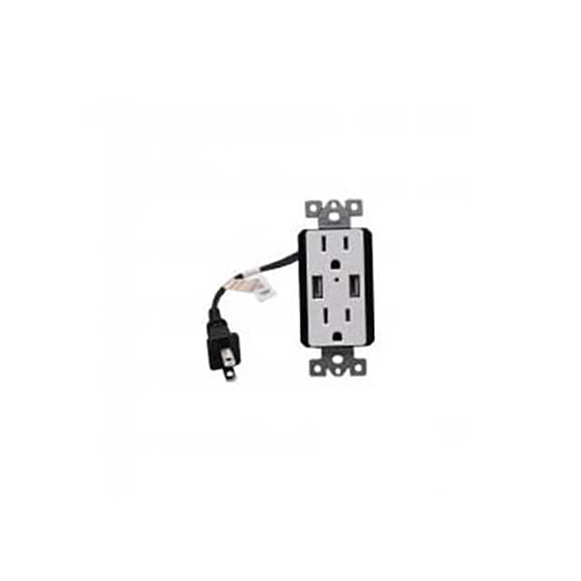 BB4KWIFIDECORAOUTLET Decora Outlet with 4K WiFi Camer