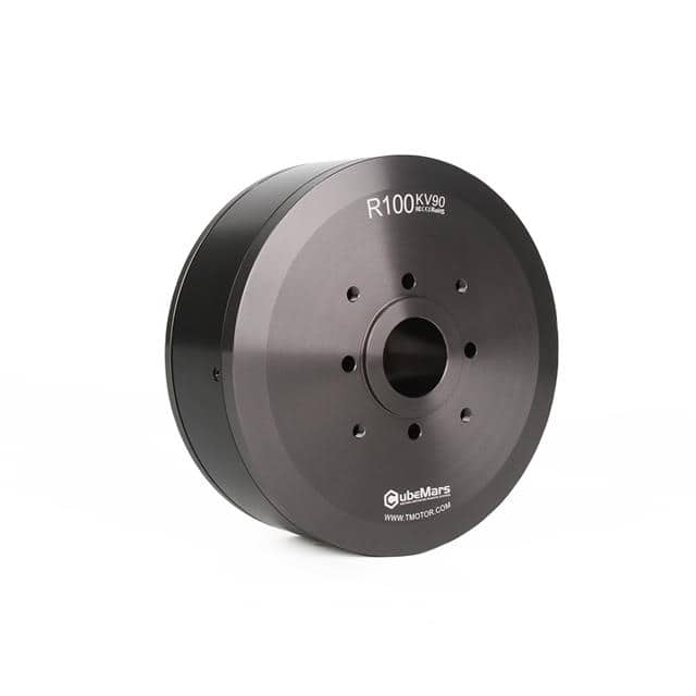 R 100 Outrunning torque motor