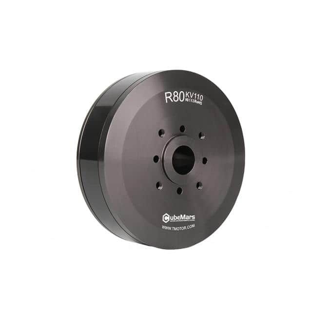 R 80 Outrunning torque motor