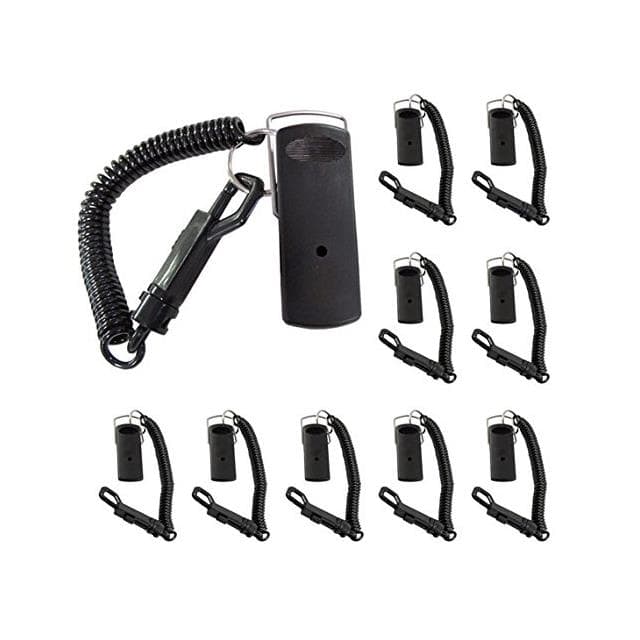 P-PTO410 PTO410 Polycom/SpectraLink/Avaya