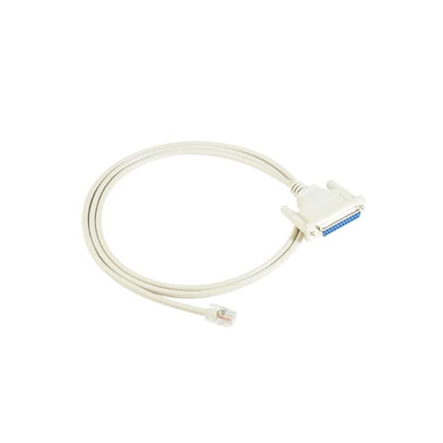 CN20030 CN20030 CONNECTION CBL RJ45/10P/