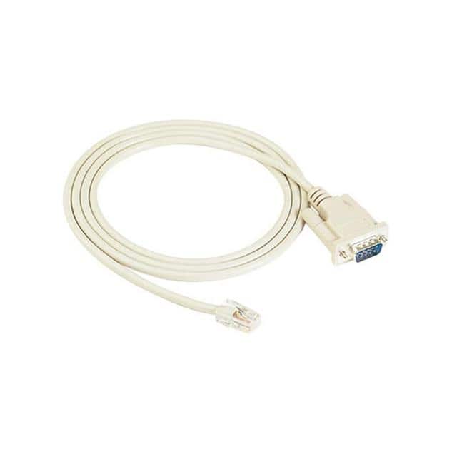 CN20060 CN20060 Connection CBL RJ45/10P/