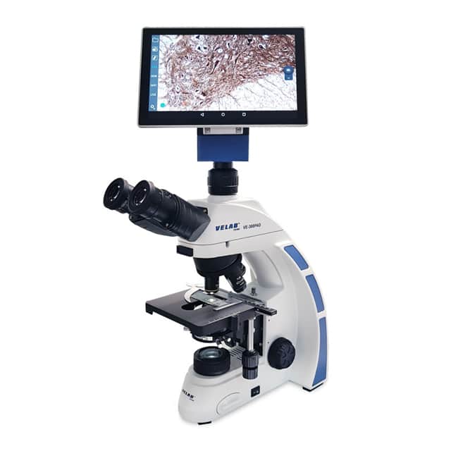 VE-300PAD BIOLOGICAL BINOCULAR MICROSCOPE