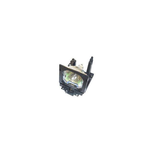 WW-2DX1-4 LAMP & CAGE