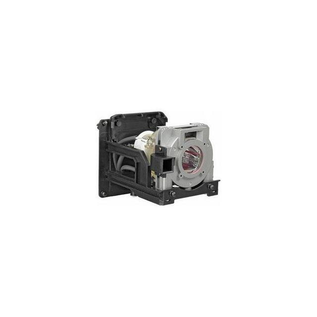 WW-E1BR-5 LAMP & CAGE