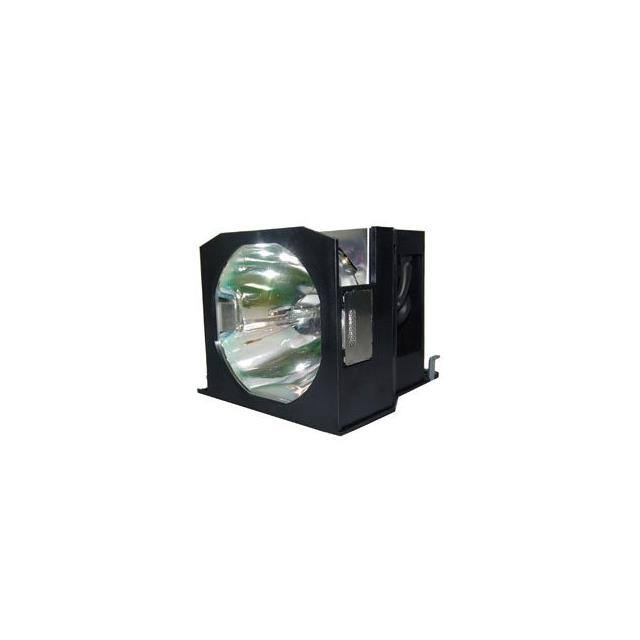 WW-E1DX-1 LAMP & CAGE