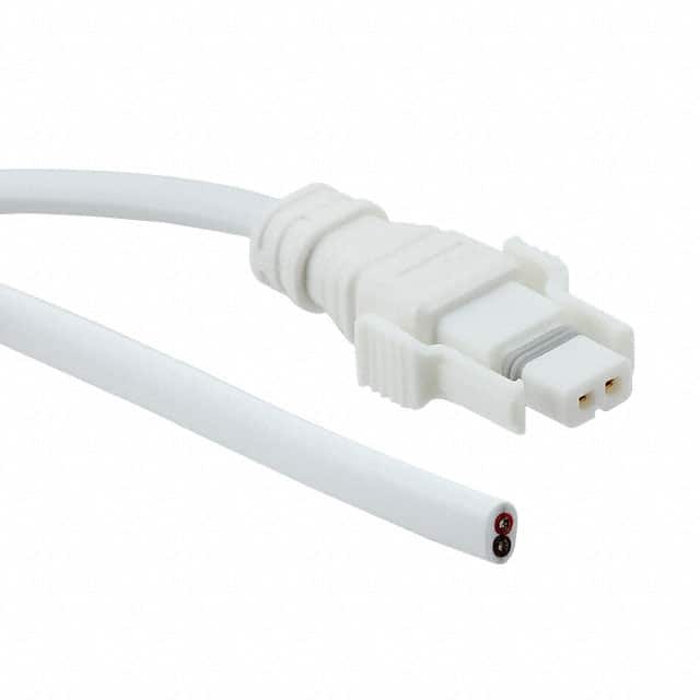 SSL12-P2LP0-M20F01 CABLE 2POS PLUG 1M