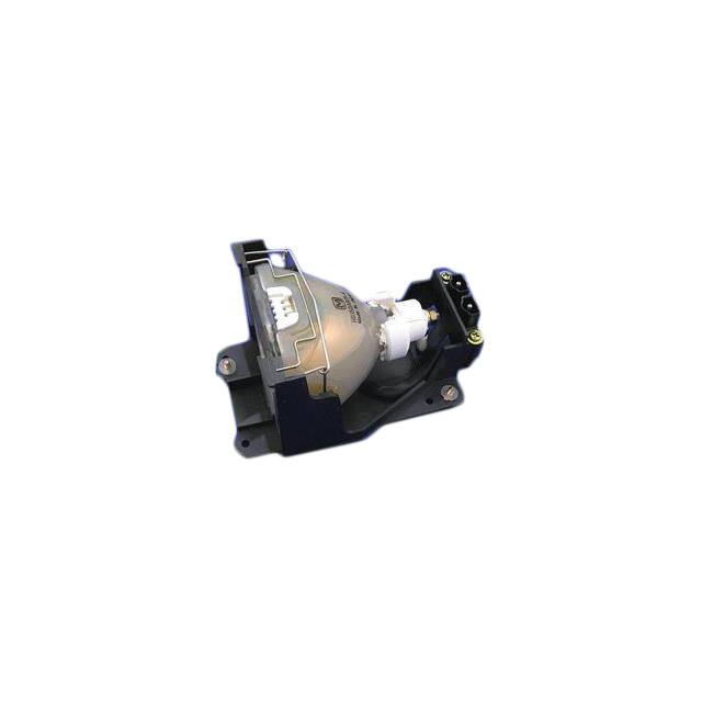 WW-2DWF-0 LAMP & CAGE