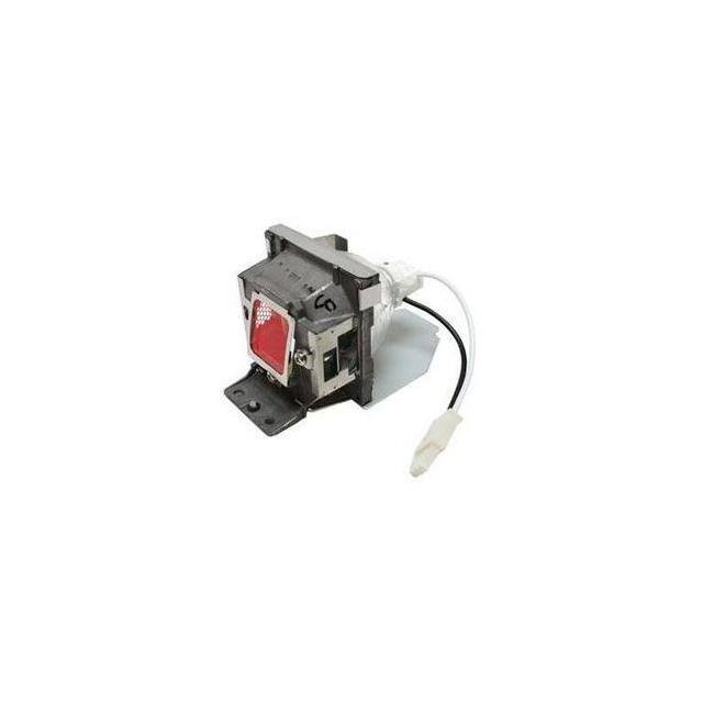 WW-E1JG-4 LAMP & CAGE