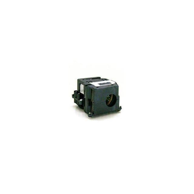 WW-2DVY-3 LAMP & CAGE